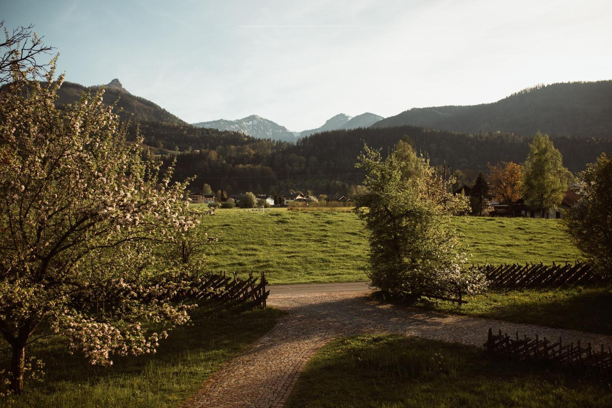 Primushaeusl Gaestehaus Strobl Rom bilde