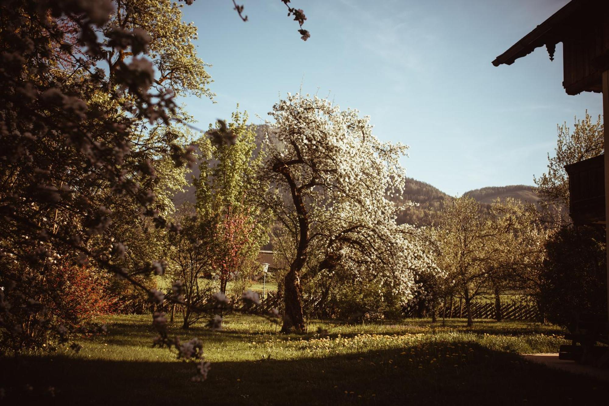 Primushaeusl Gaestehaus Strobl Rom bilde